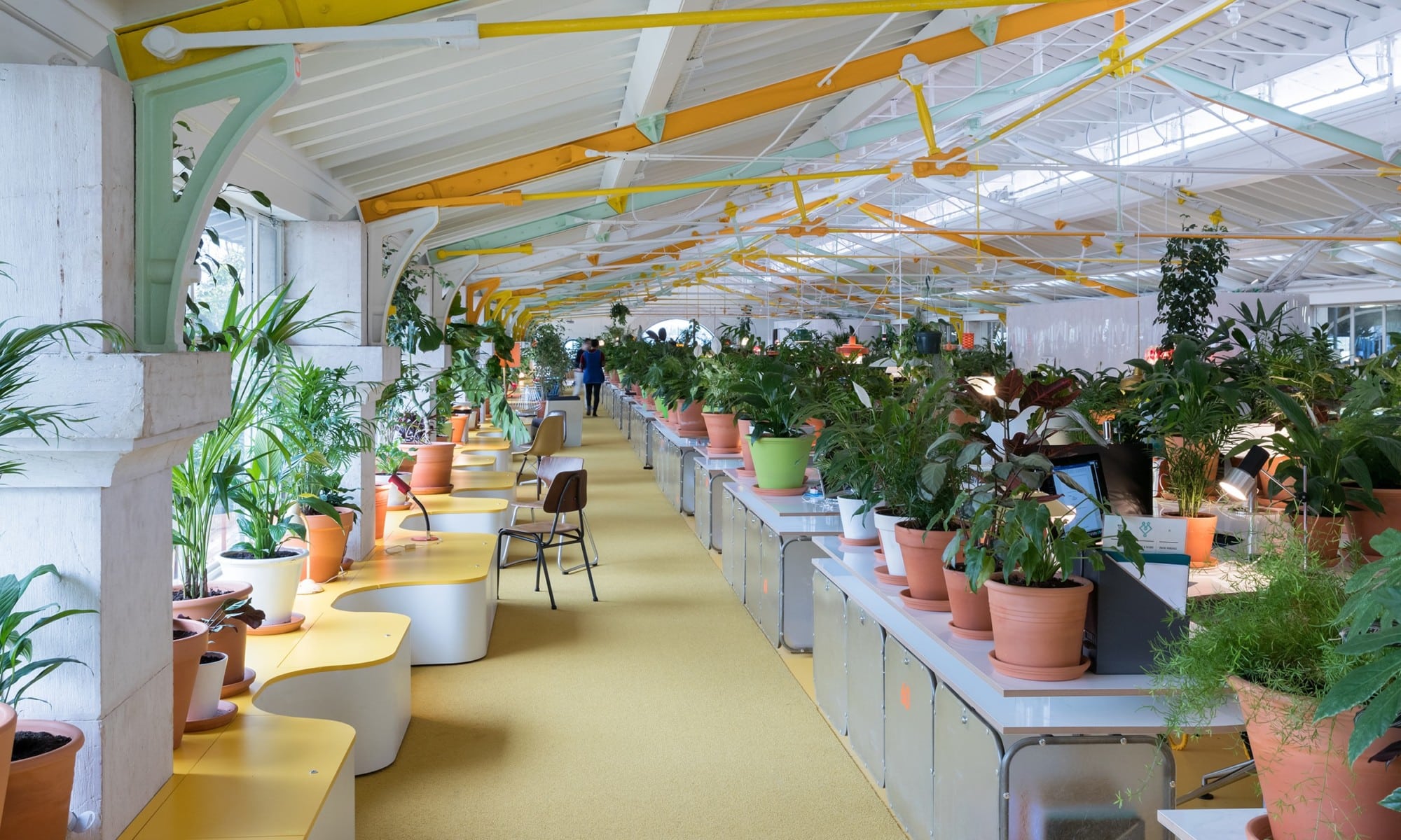 room full of plants and working seats