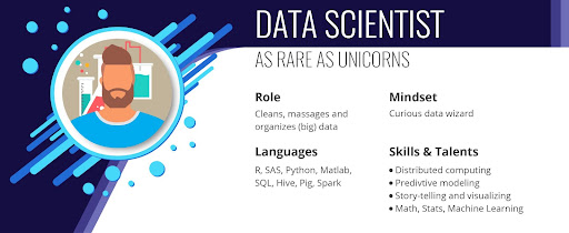 graphic about data scientist career