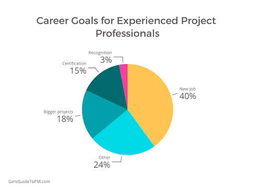 graphic about project management career