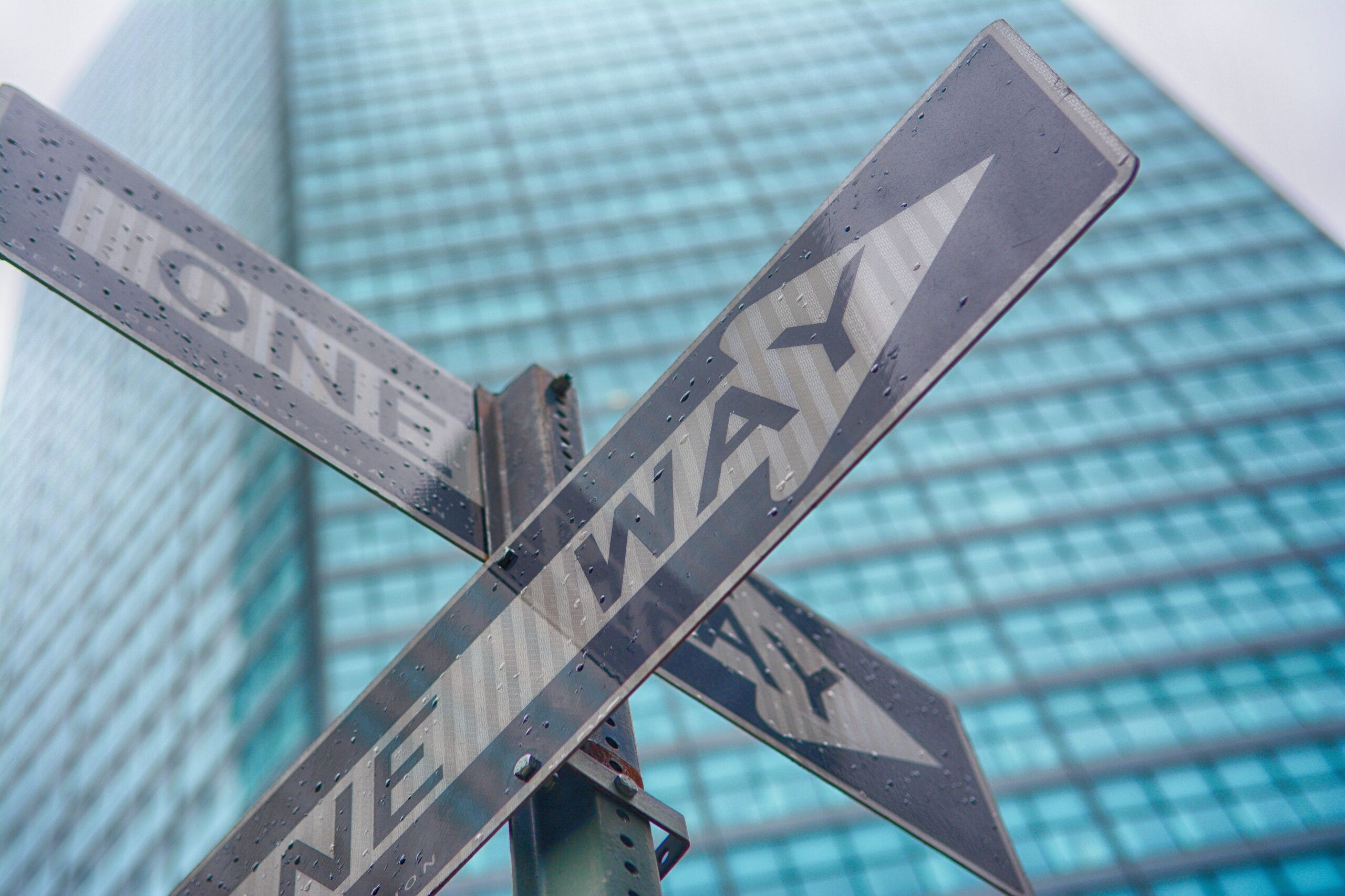 design your career path